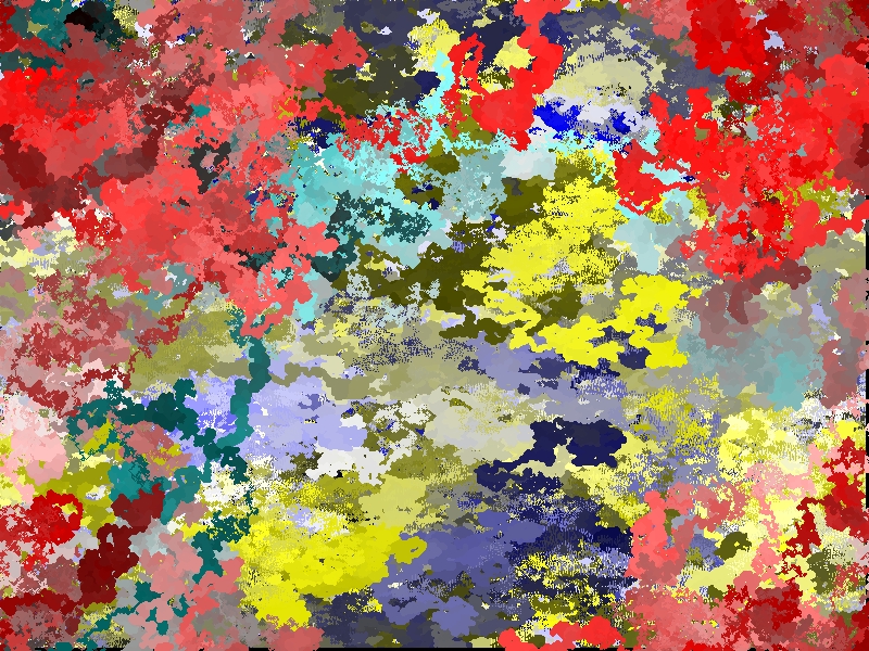 oiseau bleu et chien rouge 
